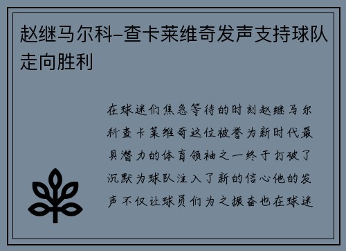 赵继马尔科-查卡莱维奇发声支持球队走向胜利