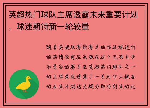 英超热门球队主席透露未来重要计划，球迷期待新一轮较量
